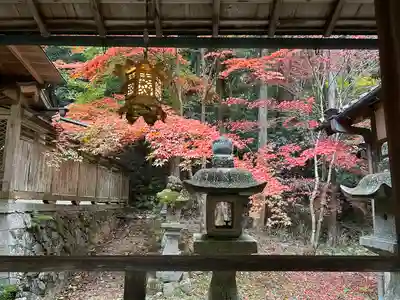 等彌神社(奈良県)