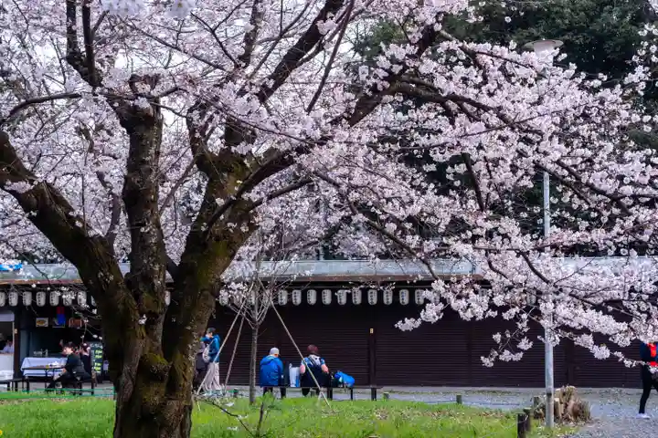 平野神社(京都府)