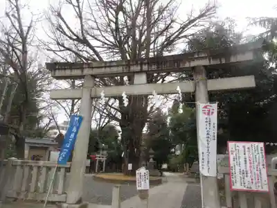 鳩森八幡神社(東京都)