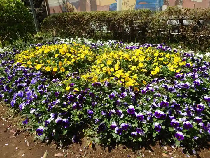 岡村天満宮(神奈川県)