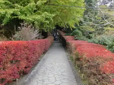 日本寺(千葉県)