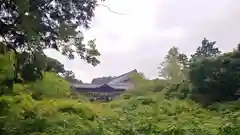 東福禅寺（東福寺）の景色