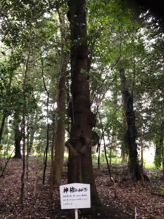 積田神社の自然