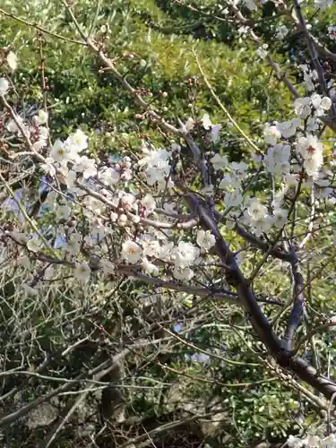 根岸八幡神社(神奈川県)