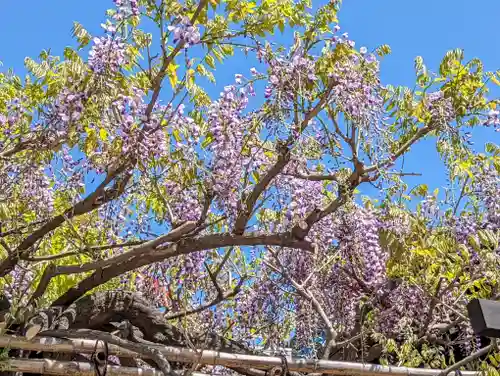 西院春日神社(京都府)