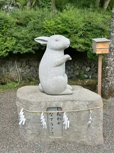 出雲大神宮の狛犬