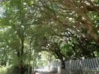 保久良神社の自然