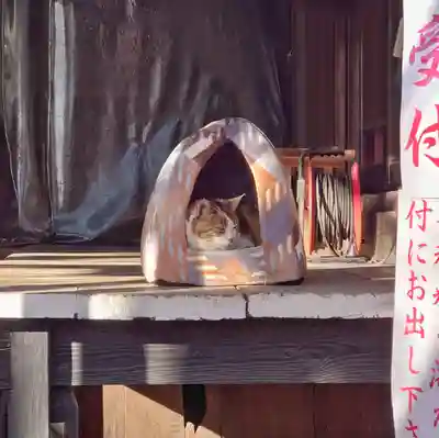 賀茂別雷神社(栃木県)