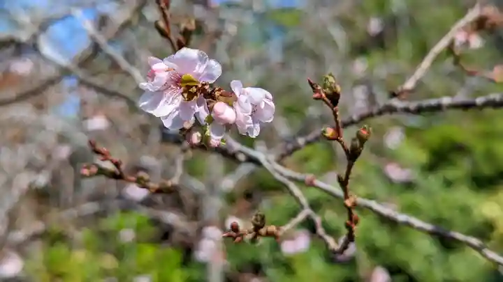 実光院(京都府)