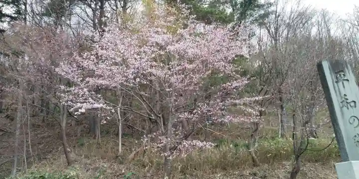 上砂川神社の自然
