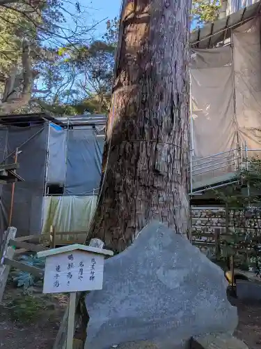 鹿島神宮(茨城県)