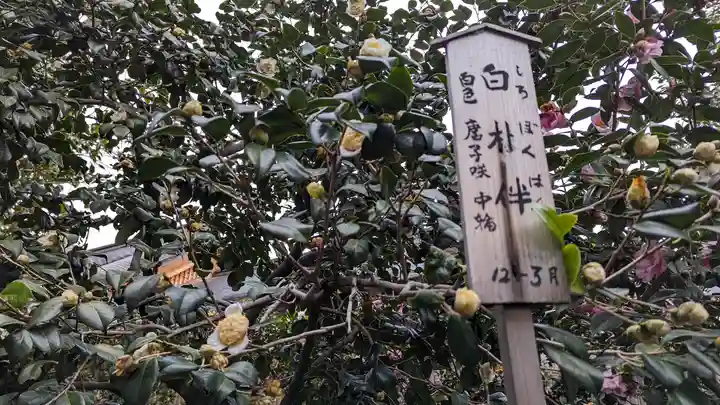 城南宮(京都府)