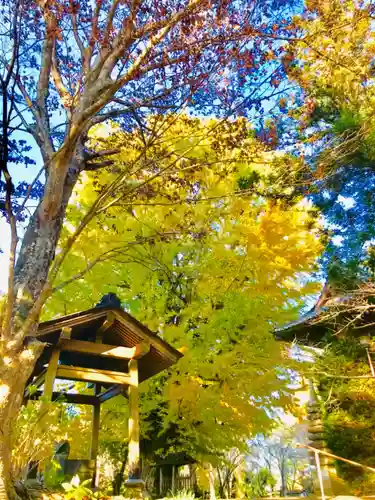 西蓮寺のその他建物