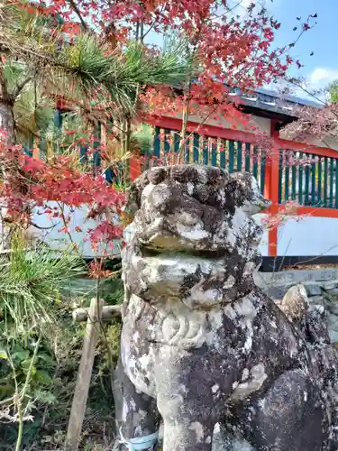 鍬山神社の狛犬