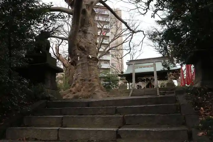 愛宕神社のその他建物