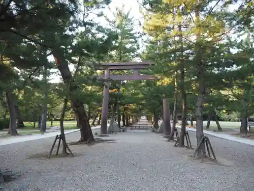 出雲大社の鳥居