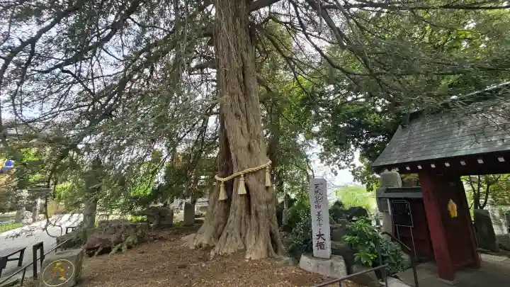 善養寺(善養密寺)の{uncategorized: "未分類", other: "その他", undefined: "問題あり", building: "その他建物", grave: "お墓", sacred_gate: "鳥居", guardian: "狛犬", statue: "像", buddha: "仏像", history: "歴史", nature: "自然", garden: "庭園", animal: "動物", pagoda: "塔", temizu: "手水舎", mountain_gate: "山門・神門", sanctuary: "本殿・本堂", subordinate: "末社・摂社", art: "芸術", scenery: "景色", jizo: "地蔵", ema: "絵馬", goshuin: "御朱印", omikuji: "おみくじ", items: "授与品その他", amulet: "お守り", goshuincho: "御朱印帳", eats: "食事", festival: "お祭り", votive_dance: "神楽", shichigosan: "七五三参", wedding: "結婚式", experience: "体験その他", initially: "初詣", around: "周辺", anti_infection: "感染症対策"}