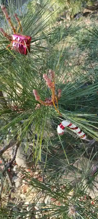 法輪寺のその他建物