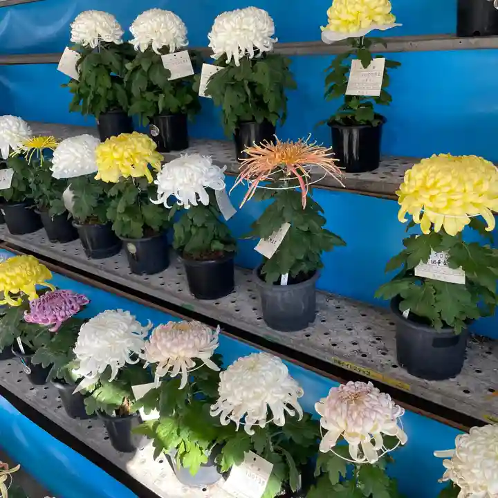 湯島天満宮の庭園