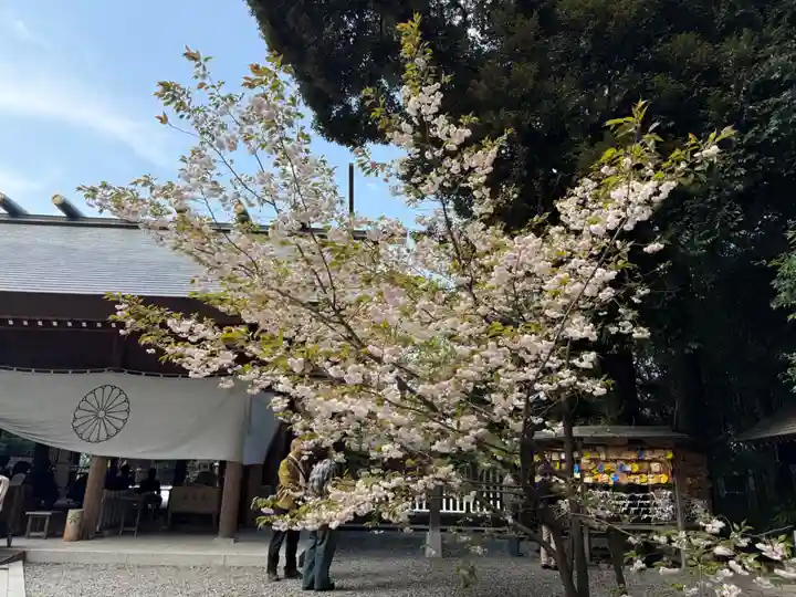 阿佐ヶ谷神明宮(東京都)