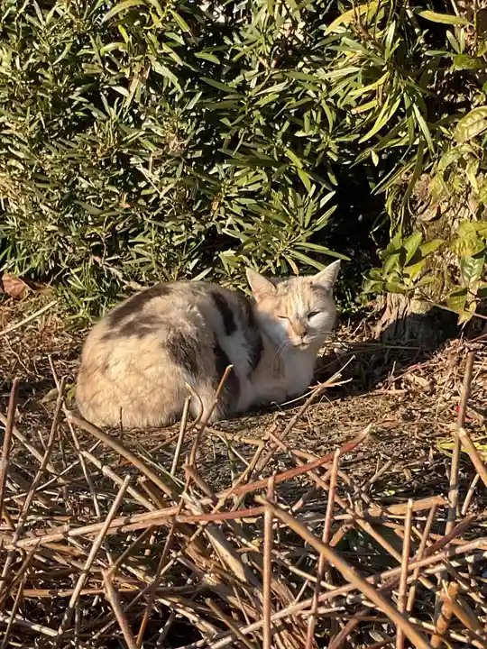 一心寺・一心禅寺(愛知県)