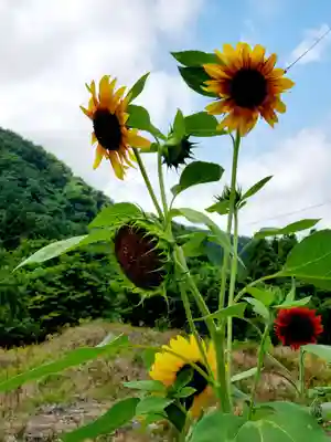 高司神社〜むすびの神の鎮まる社〜(福島県)