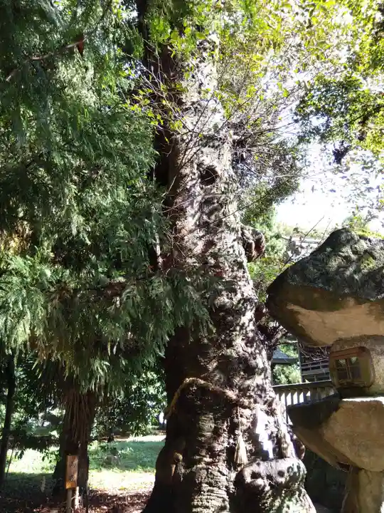 建部神社(滋賀県)