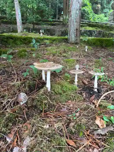 青海神社(新潟県)