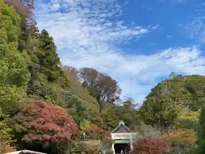 鎌倉宮(神奈川県)