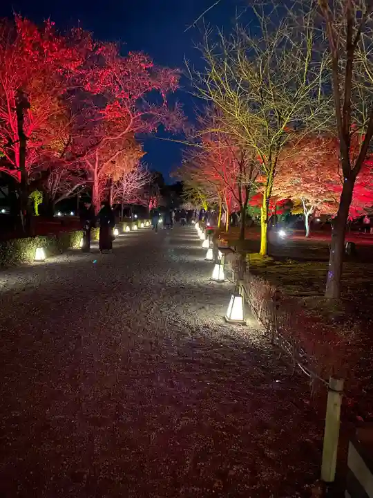 二条天皇 香隆寺陵(京都府)