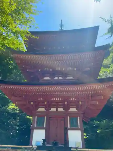 浄瑠璃寺の{uncategorized: "未分類", other: "その他", undefined: "問題あり", building: "その他建物", grave: "お墓", sacred_gate: "鳥居", guardian: "狛犬", statue: "像", buddha: "仏像", history: "歴史", nature: "自然", garden: "庭園", animal: "動物", pagoda: "塔", temizu: "手水舎", mountain_gate: "山門・神門", sanctuary: "本殿・本堂", subordinate: "末社・摂社", art: "芸術", scenery: "景色", jizo: "地蔵", ema: "絵馬", goshuin: "御朱印", omikuji: "おみくじ", items: "授与品その他", amulet: "お守り", goshuincho: "御朱印帳", eats: "食事", festival: "お祭り", votive_dance: "神楽", shichigosan: "七五三参", wedding: "結婚式", experience: "体験その他", initially: "初詣", around: "周辺", anti_infection: "感染症対策"}
