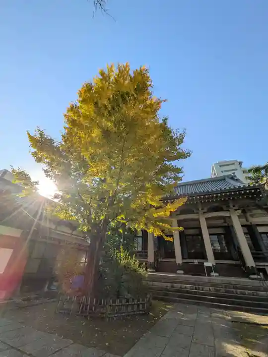報恩寺(東京都)