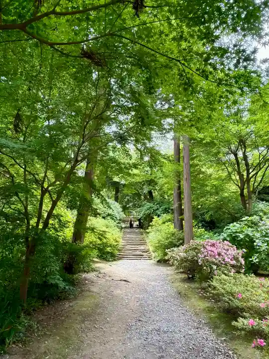 浄智寺の{uncategorized: "未分類", other: "その他", undefined: "問題あり", building: "その他建物", grave: "お墓", sacred_gate: "鳥居", guardian: "狛犬", statue: "像", buddha: "仏像", history: "歴史", nature: "自然", garden: "庭園", animal: "動物", pagoda: "塔", temizu: "手水舎", mountain_gate: "山門・神門", sanctuary: "本殿・本堂", subordinate: "末社・摂社", art: "芸術", scenery: "景色", jizo: "地蔵", ema: "絵馬", goshuin: "御朱印", omikuji: "おみくじ", items: "授与品その他", amulet: "お守り", goshuincho: "御朱印帳", eats: "食事", festival: "お祭り", votive_dance: "神楽", shichigosan: "七五三参", wedding: "結婚式", experience: "体験その他", initially: "初詣", around: "周辺", anti_infection: "感染症対策"}