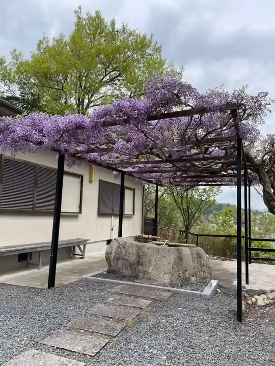 原谷弁財天(京都府)