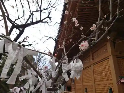 蒲原神社の自然