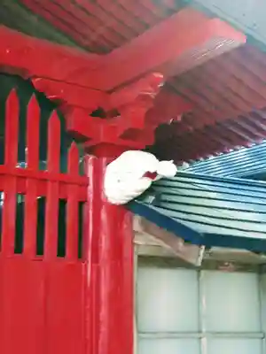 藤沢稲荷神社のその他建物