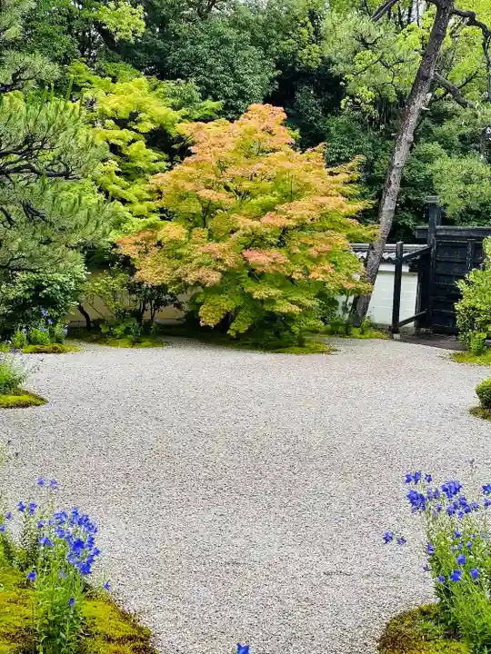 廬山寺(廬山天台講寺)(京都府)