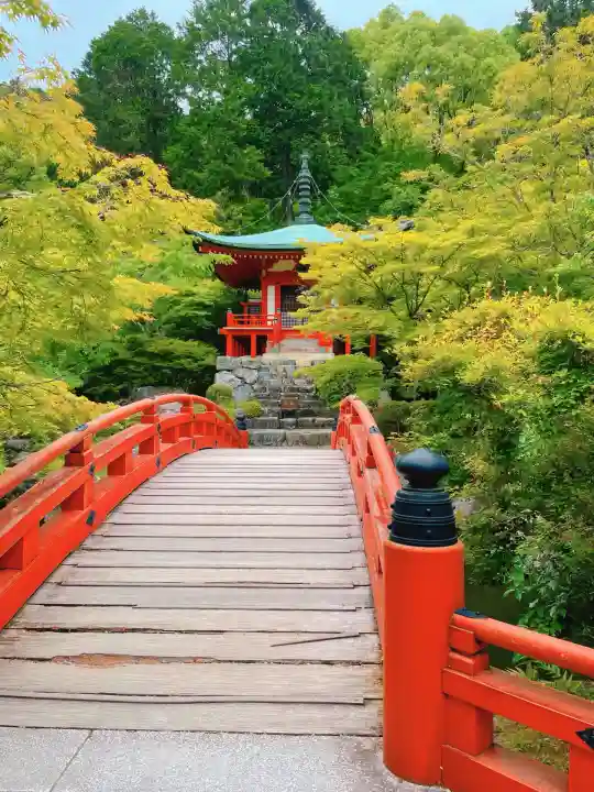 醍醐寺(京都府)