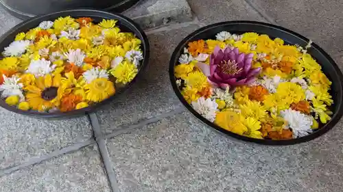北海道護國神社の手水舎