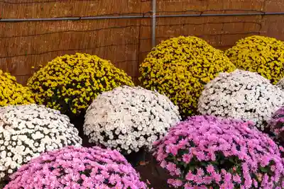 武水別神社(長野県)
