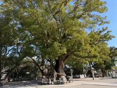 大麻比古神社(徳島県)