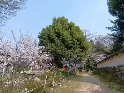 石刀神社(愛知県)