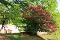 高屋敷稲荷神社の庭園