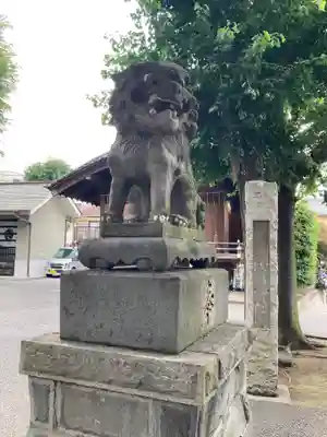 滝野川八幡神社の狛犬