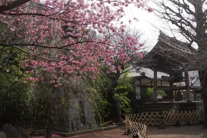 新井薬師(梅照院)のその他建物