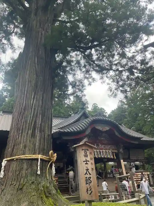 北口本宮冨士浅間神社のその他建物