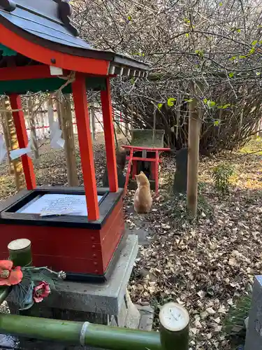 冠稲荷神社(群馬県)