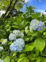 国宝 大法寺の自然