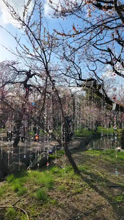 北野天満宮の{uncategorized: "未分類", other: "その他", undefined: "問題あり", building: "その他建物", grave: "お墓", sacred_gate: "鳥居", guardian: "狛犬", statue: "像", buddha: "仏像", history: "歴史", nature: "自然", garden: "庭園", animal: "動物", pagoda: "塔", temizu: "手水舎", mountain_gate: "山門・神門", sanctuary: "本殿・本堂", subordinate: "末社・摂社", art: "芸術", scenery: "景色", jizo: "地蔵", ema: "絵馬", goshuin: "御朱印", omikuji: "おみくじ", items: "授与品その他", amulet: "お守り", goshuincho: "御朱印帳", eats: "食事", festival: "お祭り", votive_dance: "神楽", shichigosan: "七五三参", wedding: "結婚式", experience: "体験その他", initially: "初詣", around: "周辺", anti_infection: "感染症対策"}