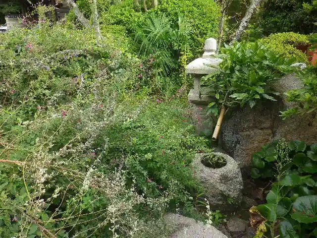 浄光明寺の庭園